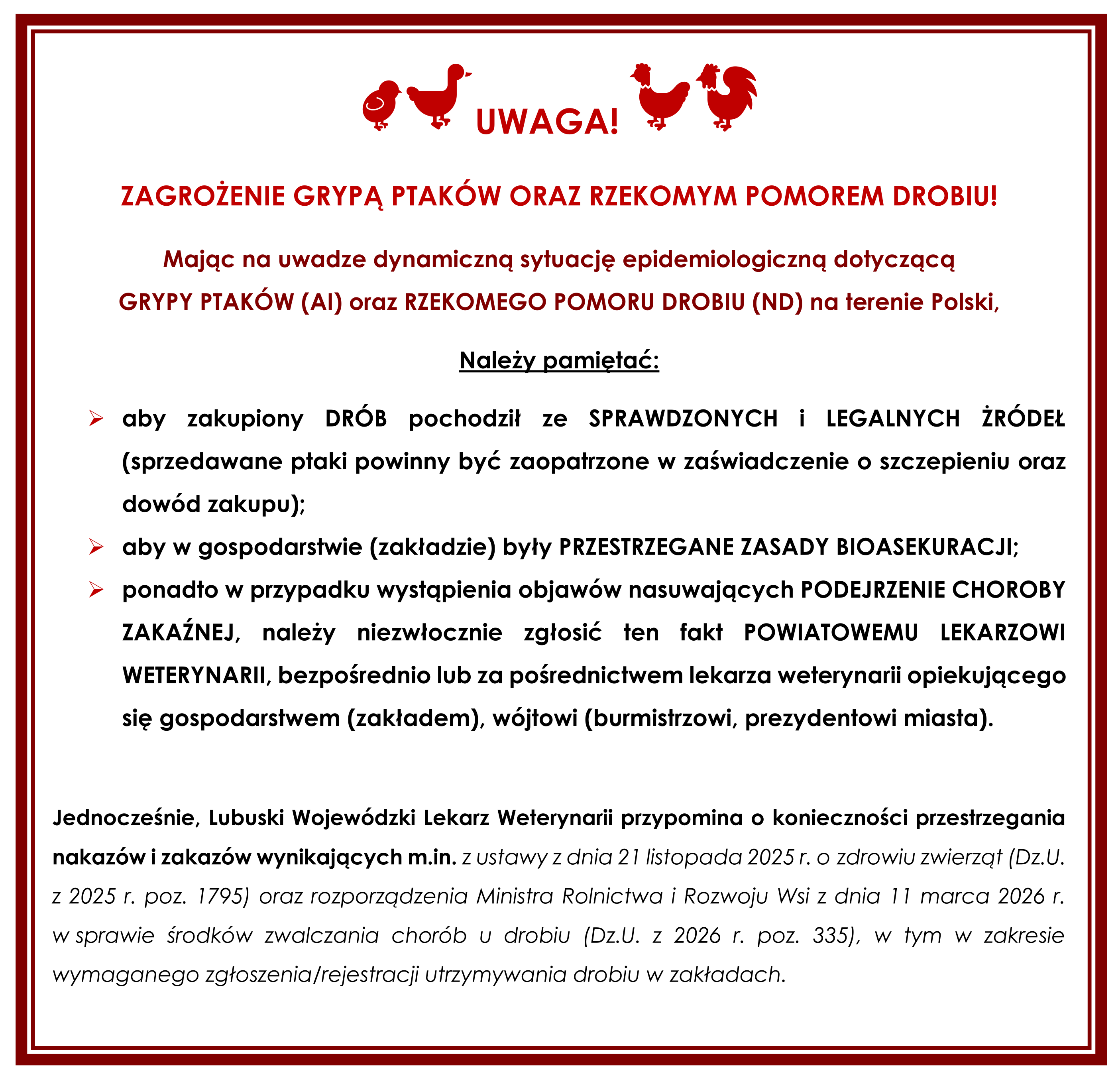UWAGA! ZAGROŻENIE GRYPĄ PTAKÓW ORAZ RZEKOMYM POMOREM DROBIU! Mając na uwadze dynamiczną sytuację epidemiologiczną dotyczącą GRYPY PTAKÓW (AI) oraz RZEKOMEGO POMORU DROBIU (ND) na terenie Polski, Należy pamiętać: ➤ aby zakupiony DRÓB pochodził ze SPRAWDZONYCH I LEGALNYCH ŹRÓDEŁ (sprzedawane ptaki powinny być zaopatrzone w zaświadczenie o szczepieniu oraz dowód zakupu); ➤ aby w gospodarstwie (zakładzie) były PRZESTRZEGANE ZASADY BIOASEKURACJI; ➤ ponadto w przypadku wystąpienia objawów nasuwających PODEJRZENIE CHOROBY ZAKAŹNEJ, należy niezwłocznie zgłosić ten fakt POWIATOWEMU LEKARZOWI WETERYNARII, bezpośrednio lub za pośrednictwem lekarza weterynarii opiekującego się gospodarstwem (zakładem), wójtowi (burmistrzowi, prezydentowi miasta). Jednocześnie, Lubuski Wojewódzki Lekarz Weterynarii przypomina o konieczności przestrzegania nakazów i zakazów wynikających m.in. z ustawy z dnia 21 listopada 2025 r. o zdrowiu zwierząt (Dz.U. z 2025 r. poz. 1795) oraz rozporządzenia Ministra Rolnictwa i Rozwoju Wsi z dnia 11 marca 2026 r. w sprawie środków zwalczania chorób u drobiu (Dz.U. z 2026 r. poz. 335), w tym w zakresie wymaganego zgłoszenia/rejestracji utrzymywania drobiu w zakładach.