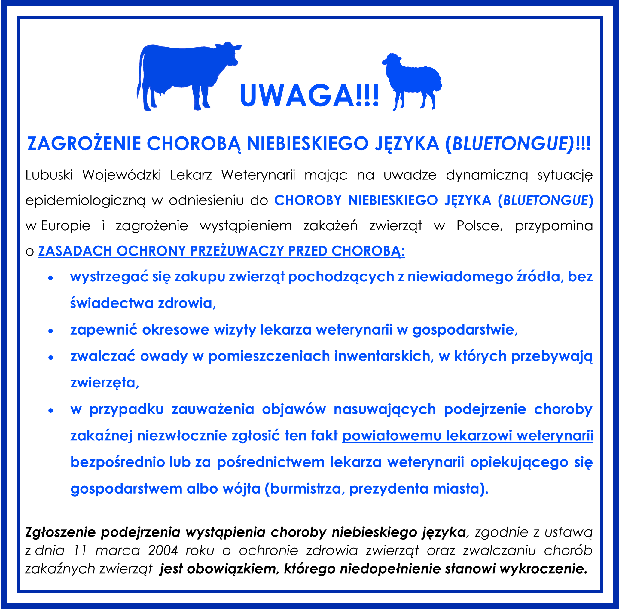 UWAGA!!!  ZAGROŻENIE CHOROBĄ NIEBIESKIEGO JĘZYKA (BLUETONGUE)!!!  Lubuski Wojewódzki Lekarz Weterynarii mając na uwadze dynamiczną sytuację epidemiologiczną w odniesieniu do CHOROBY NIEBIESKIEGO JĘZYKA (BLUETONGUE)  w Europie i zagrożenie wystąpieniem zakażeń zwierząt w Polsce, przypomina O ZASADACH OCHRONY PRZEŻUWACZY PRZED CHOROBA:  wystrzegać się zakupu zwierząt pochodzących z niewiadomego źródła, bez świadectwa zdrowia,  zapewnić okresowe wizyły lekarza weterynaril w gospodarstwie,  zwalczać owady w pomieszczeniach inwentarskich, w których przebywają zwierzęta,  w przypadku zauważenia objawów nasuwających podejrzenie choroby zakažnej niezwłocznie zgłosić ten fakt powiatowemu lekarzowi weterynarii bezpośrednio lub za pośrednictwem lekarza weterynarii oplekującego się gospodarstwem albo wójta (burmistrza, prezydenta miasta).  Zgłoszenie podejrzenia wystąpienia choroby niebieskiego języka, zgodnie z ustawą z dnia 11 marca 2004 roku o ochronie zdrowia zwierząt oraz zwalczaniu chorób zakaźnych zwierząt jest obowiązkiem, którego niedopełnienie stanowi wykroczenie.