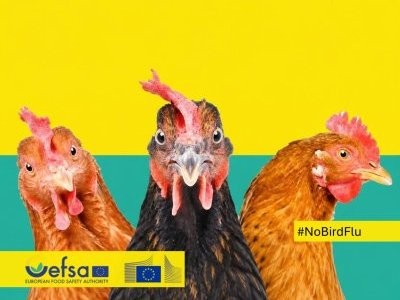 efsa